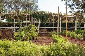 Montecallini Hotel - Adults Only