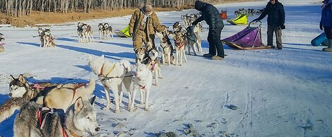 Mongolian Vision Tours - Hostel