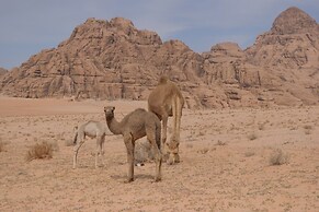 Magic Bedouin Star - Campsite