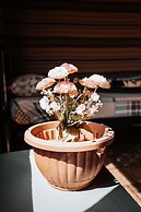 Magic Bedouin Star - Campsite