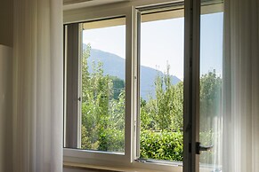 B&B L'Albero Maestro