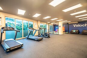 The Palm at Veloche by Lofty