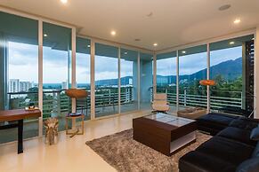 The Palm at Veloche by Lofty