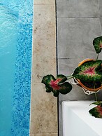 Bona Vida Hostel la Quinta