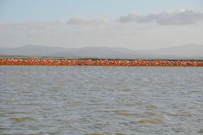 Bona Vida Hostel la Quinta