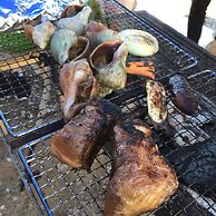 niseko KASHINOYA - Hostel