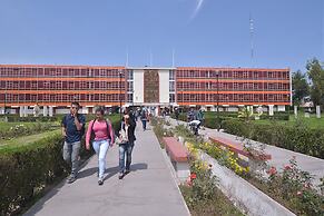 Hotel Suite Los Inkas