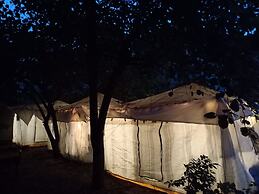 Nature Trail Camps & Homestay