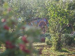 La Radice