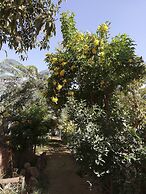 Equestrian lodge - Pyramids Egypt