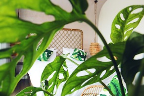 Green River Boutique Hotel