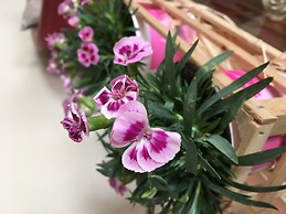 Hotel Al Sole - Preganziol