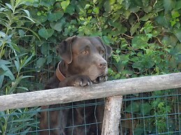 Agriturismo Fattoria La Prugnola