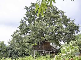 Agriturismo Fattoria La Prugnola