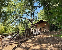 Agriturismo Fattoria La Prugnola