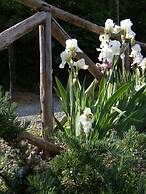 Agriturismo Fattoria La Prugnola