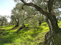 Agriturismo Fattoria La Prugnola