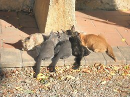 Agriturismo Fattoria La Prugnola