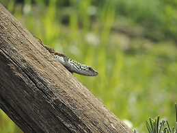 Agriturismo Fattoria La Prugnola