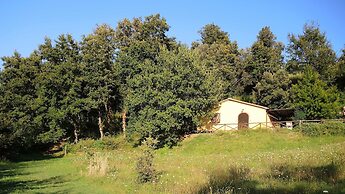 Agriturismo Fattoria La Prugnola