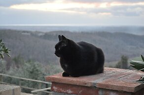 Agriturismo Fattoria La Prugnola