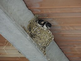 Agriturismo Fattoria La Prugnola