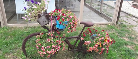 Pensión Albergue Turístico Salceda