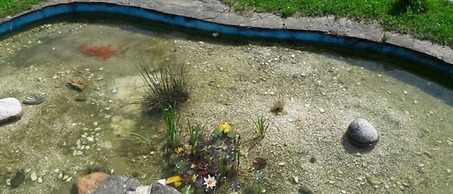 Pensión Albergue Turístico Salceda