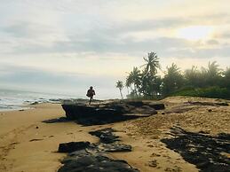 Alberta's Palace Beach Resort