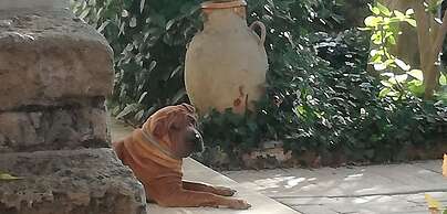 B&B Giardino Nascosto Taviano