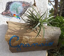 B&B Giardino Nascosto Taviano