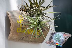 B&B Giardino Nascosto Taviano