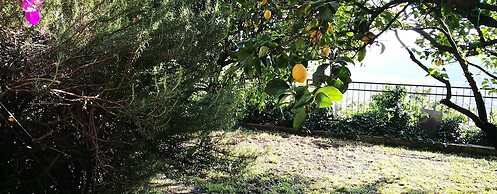 B&B La Terrazza Sui Fieschi