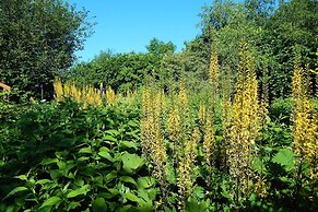 Cold Cotes Guest House