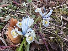 Cold Cotes Guest House