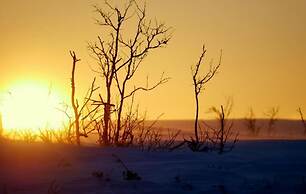 Máttaráhkká Northern Lights Lodge