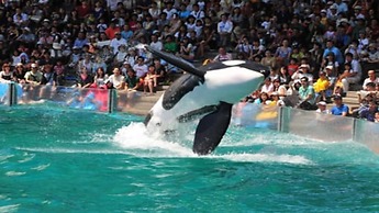 Vessel Inn Chiba Station