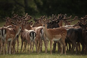 Brijuni Rooms Karmen