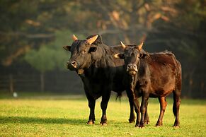 Brijuni Rooms Karmen