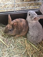 Mimi La Sardine