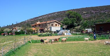 Hotel Rural El Molino