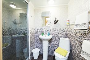 Duplex Apartments on Pushkinskaya 12