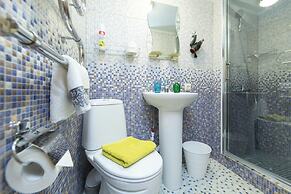 Duplex Apartments on Pushkinskaya 12