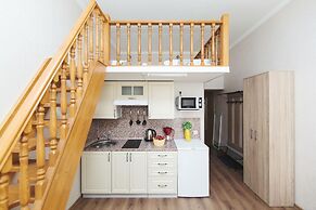 Duplex Apartments on Pushkinskaya 12