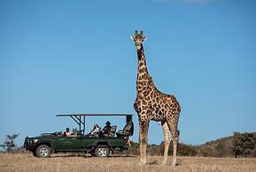 Safari Plains