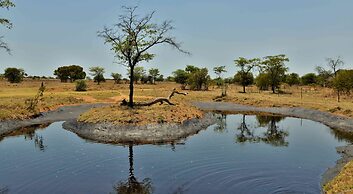 Safari Plains