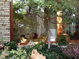 Bed and Breakfast Villa Gioia