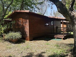 Camping Azzurro