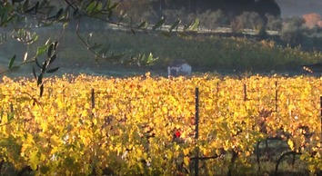 La Capannaccia