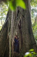 Senda Monteverde Hotel Member of the Cayuga Collection